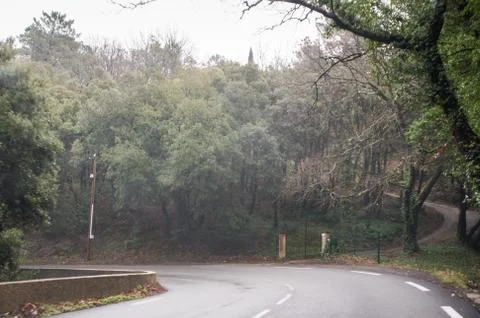 Path to the forest. Фото