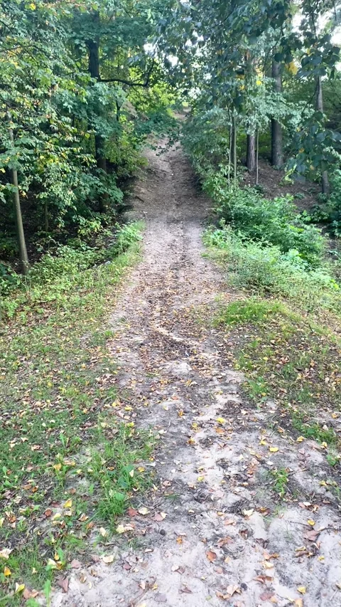 A path in the forest, rising to the heights. Summer. Vertical video Stock Footage 282796884