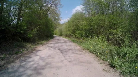 A path in the forest at springtime Stock Footage 129081166