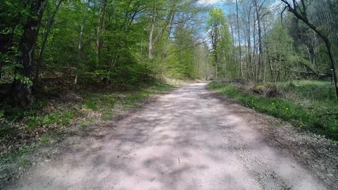 A path in the forest at springtime Stock Footage 129081202