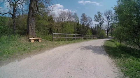 A path in the forest at springtime Stock Footage 129081297