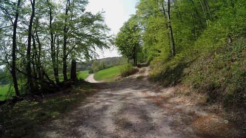 A path in the forest at springtime Stock Footage 129084157