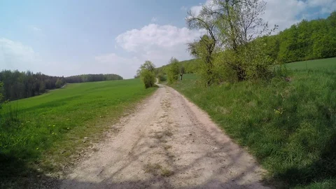 A path in the forest at springtime Stock Footage 129088088