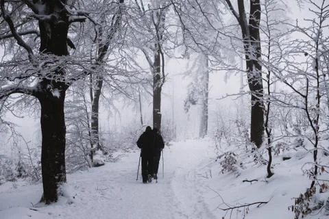 Path in the forest with two people, winter and snow 写真素材