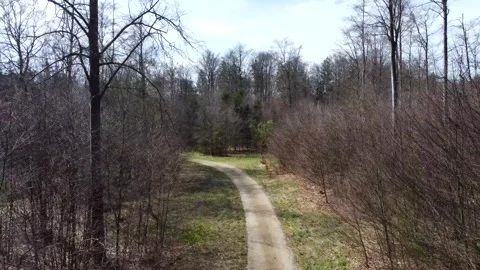 Path in the forest upwards -drone shot Stock Footage 274390390