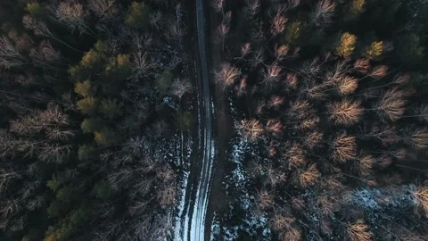 Path in the forest. Winter in park. Drone footage Stock Footage 233103721