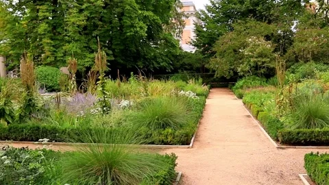 A path, forked road, crossroads in a spring botanical formal garden Stock Footage 294197366