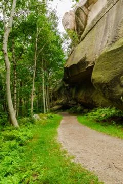 Path in forrest by rock wall Stock-Fotos