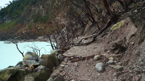 Path forward at White Crater lake shore Video stock 85683038