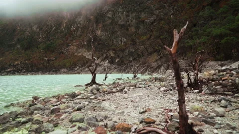 Path forward at White Crater lake shore Stock Footage 85687426