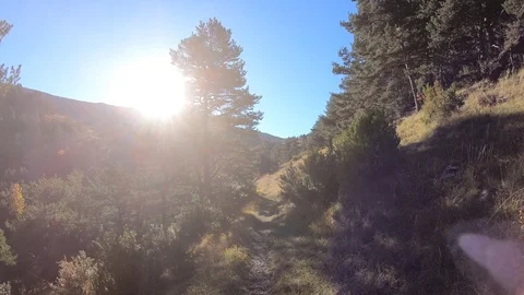 A path in french alps hyperlapse 4k Stock Footage 105963901