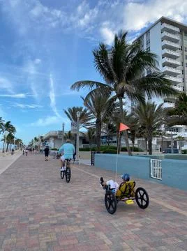 Path in front of the beach Stock Photos