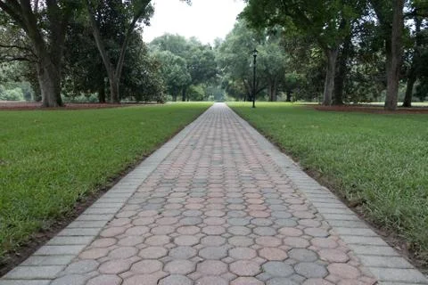 Path to the future 스톡 사진