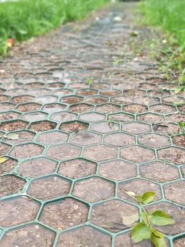 Path in the garden with breaking grass Stock Photos