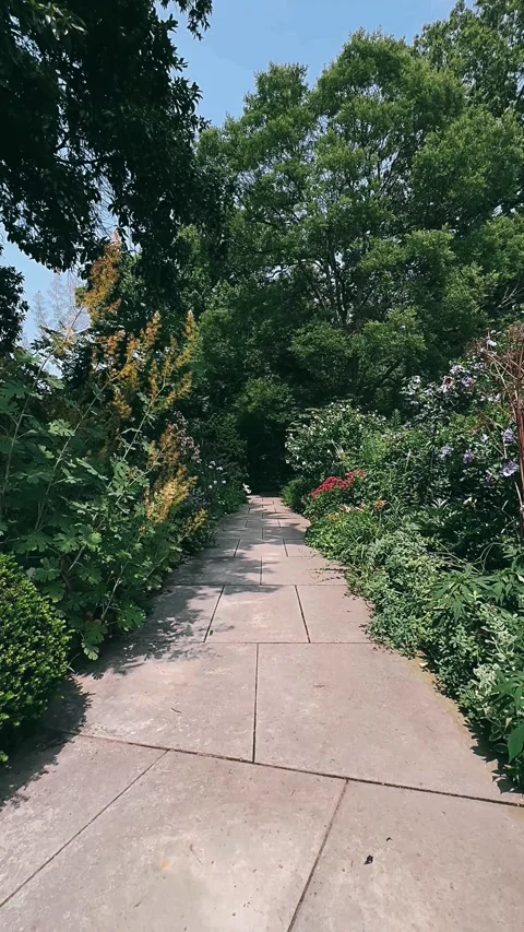 Path in the garden, garden, path, park, tree, nature, trees, grass, road, Stock Footage 247139121