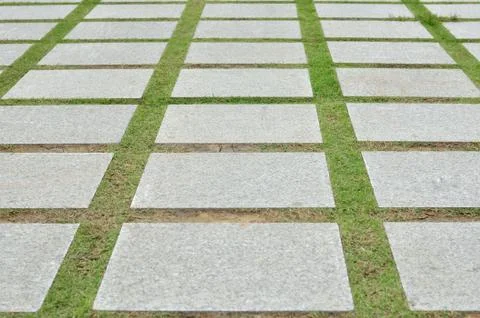 Path in garden, landscape view. Stock Photos