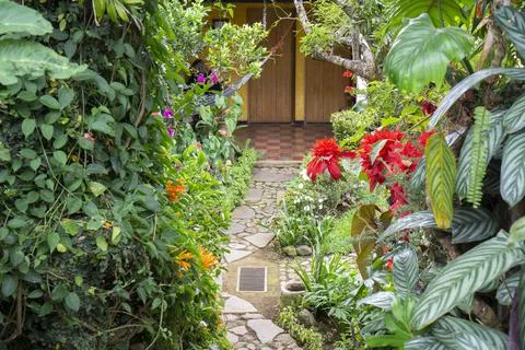 A path in the garden or backyard with wall of plants, trees and flowers on bo Stock Photos