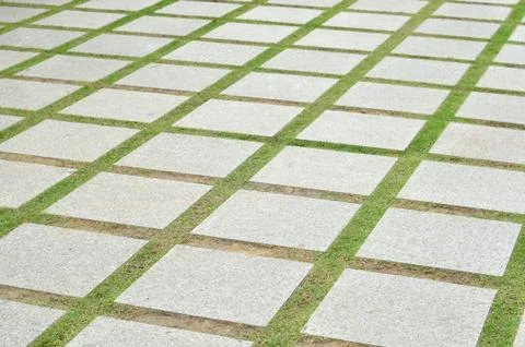 Path in garden, perspective view. Foto stock