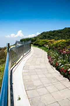 The path in the garden. Stock Photos