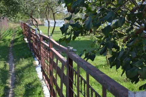 Path to the garden 库存照片