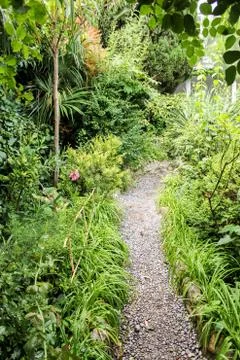 The path to the garden. Photos
