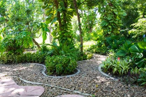 The path in the garden Stock Photos