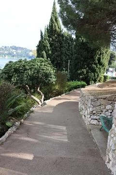 Path in the garden Stock-Fotos