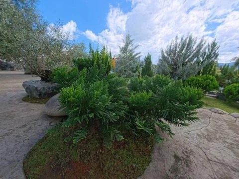 Path in the garden Stock-Fotos