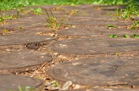 Path in the garden of round tree cuts Stock Photos