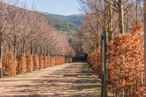 Path in the gardens of the royal palace La Granja de San Ildefonso Stock Photos