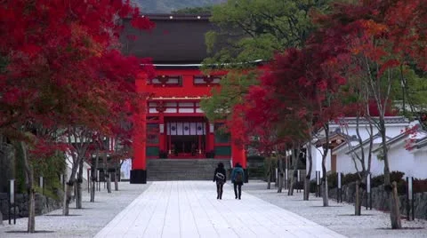 Path To Gate At Fushimi Inari Stock Footage 21313405