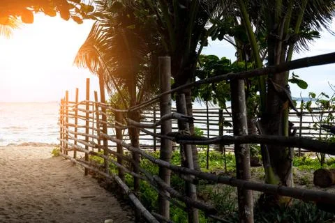 Path goes to the sea Stock Photos