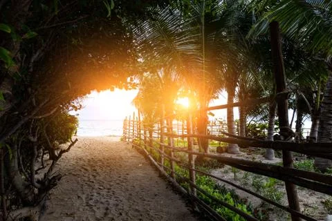 Path goes to the sea Stock Photos