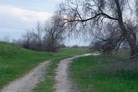 A path going into the distance in nature Stock Photos