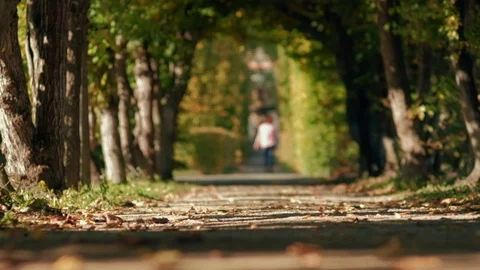 Path going through tree tunnel with defocused woman walking in the background. Stock Footage 120760850