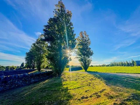 Path going through trees rustling with wind in summer Stock-Fotos