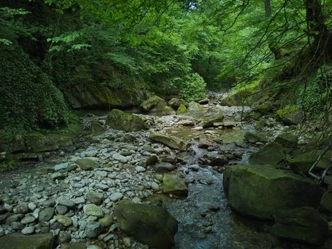 Path to the gorge 스톡 사진