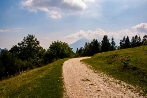 Path with grass and picks Stock Photos