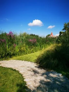 A path with grass and trees Stock Photos