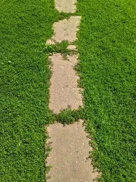 Path in the grass. background of footpath on the green grass Stock Photos
