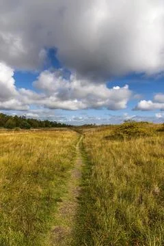A path in the grass on the coast Stock Photos