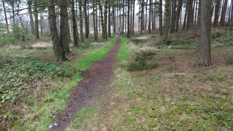 Path to greatness Stock Footage 278244211