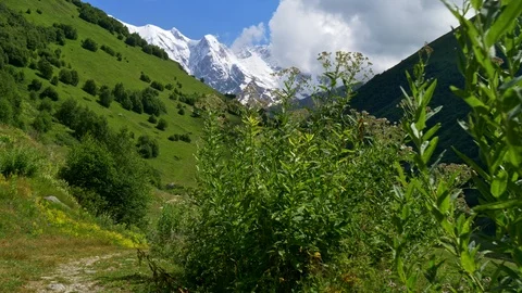 Path in green Alpine meadows on foothills of snowy Caucasus mountains in Georgia Stock-Footage 114063910