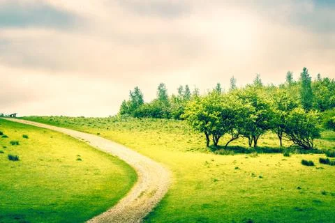 Path on a green field Stock Photos
