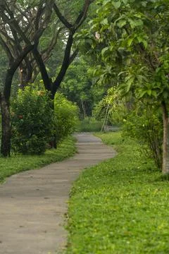 A path in a green park led by shade Stock Photos