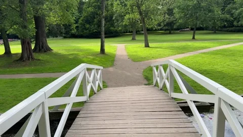 The path of a green park with a lot of trees, Beautiful landscape in park with t Stock Footage 314516629