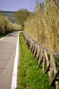 Path in the green Stock Photos