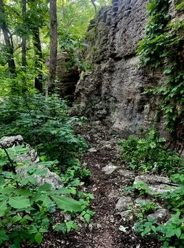 Path of green rocks Stock Photos