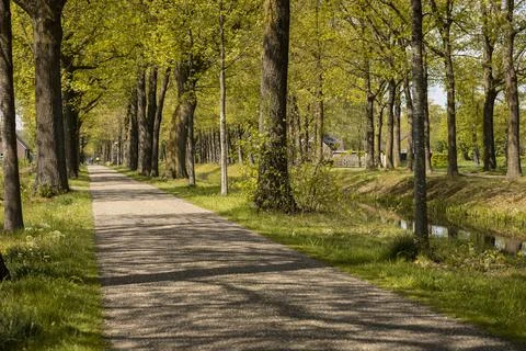 A path in Grientsveen surrounded by trees, grass and greenery in a rural area 스톡 사진