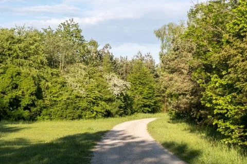 Path with hedges and trees in spring in the Riemer Park near Munich, Germany Stock Photos